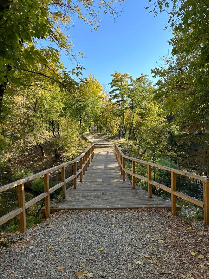 公寓 Tam - Nature Heaven - Private Parking *